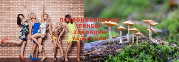 дурь Абинск