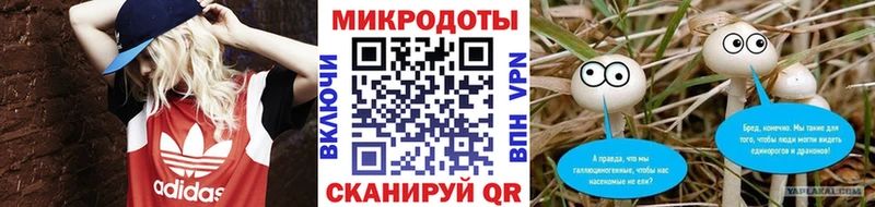 Псилоцибиновые грибы Psilocybine cubensis  где купить наркоту  Вичуга 