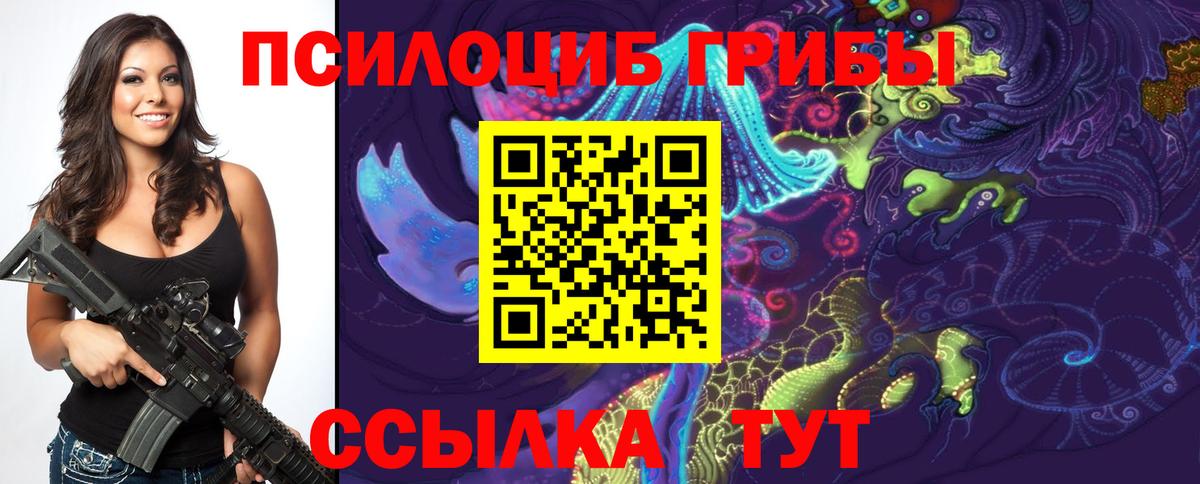 Галлюциногенные грибы мицелий  закладка  Вход с VPN  Вичуга  Псилоцибиновые грибы Cubensis 