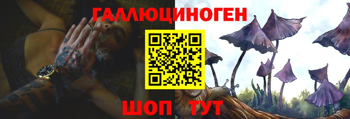 Псилоцибиновые грибы мицелий Вичуга