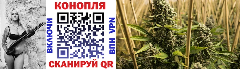 Конопля SATIVA & INDICA  купить наркотики цена  Вичуга 